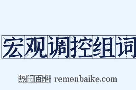宏观调控组词是什么意思的图片